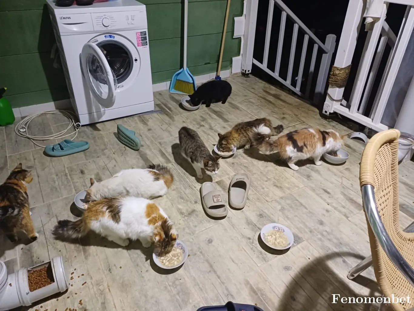 alperen3190 tarafından paylaşılan fotoğraf