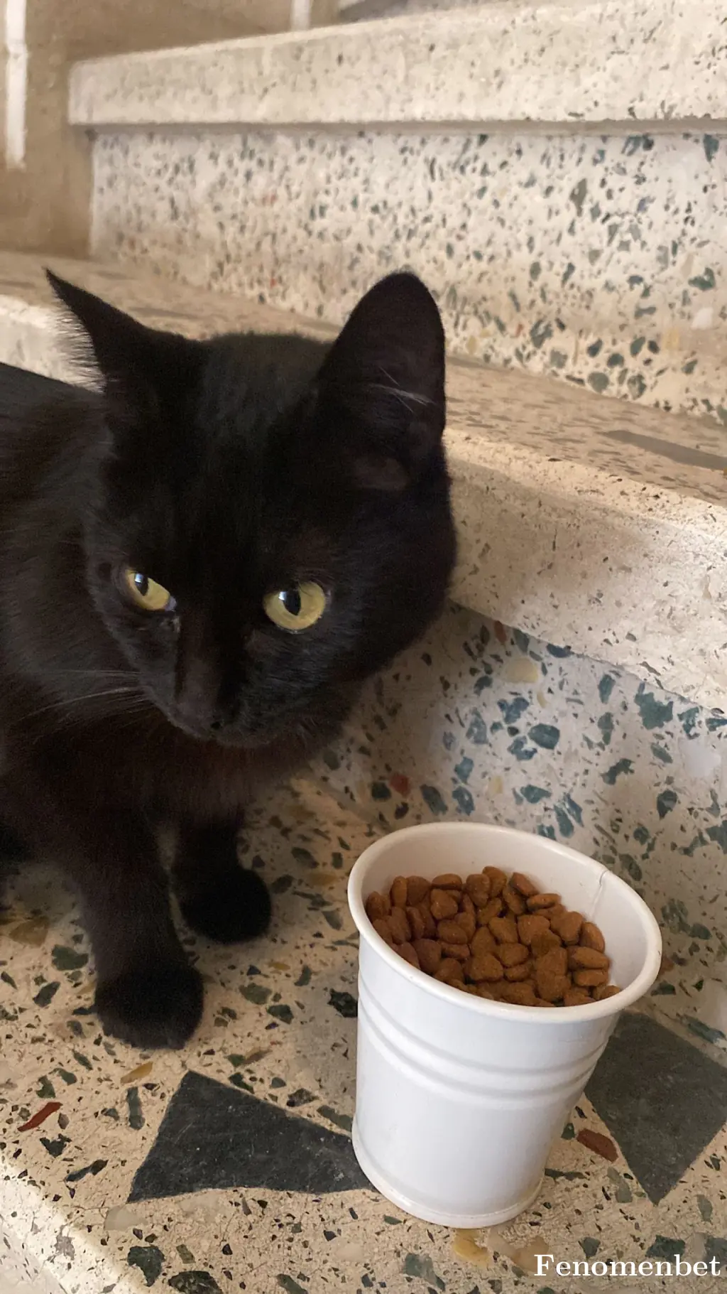 mrtbngl35  tarafından paylaşılan fotoğraf