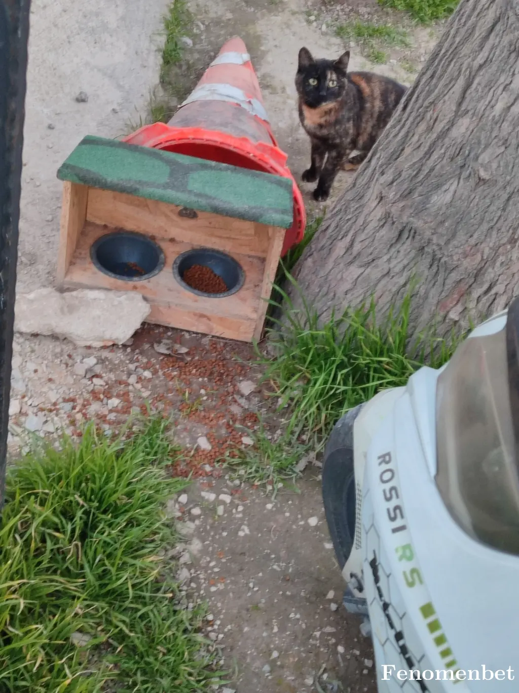 Dogankb tarafından paylaşılan fotoğraf