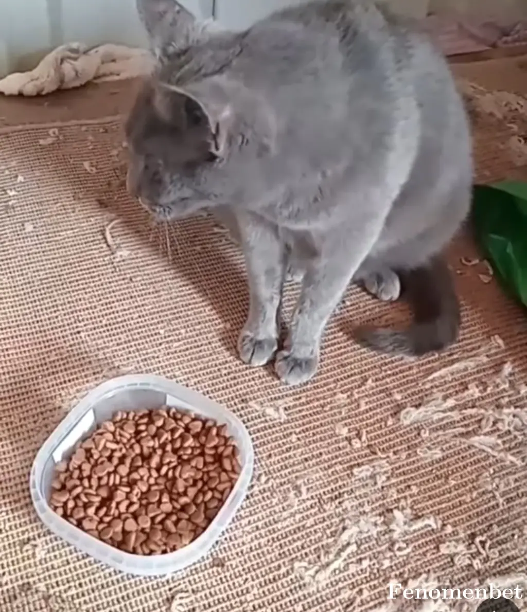 emreece tarafından paylaşılan fotoğraf