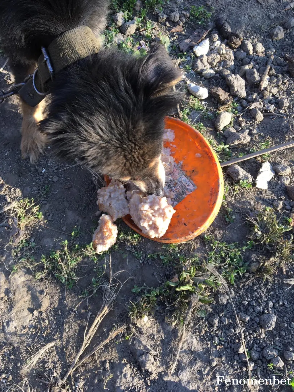 Emre231988 tarafından paylaşılan fotoğraf