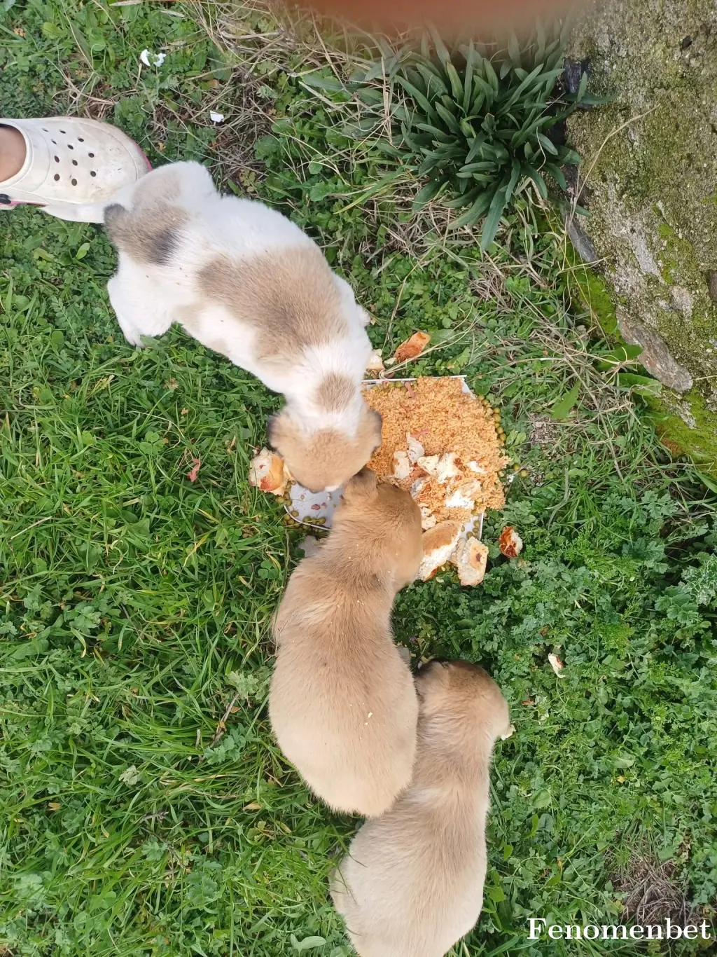 osmndmnlr tarafından paylaşılan fotoğraf