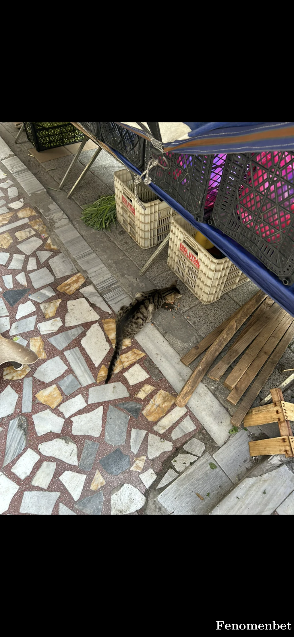 Bradyy tarafından paylaşılan fotoğraf