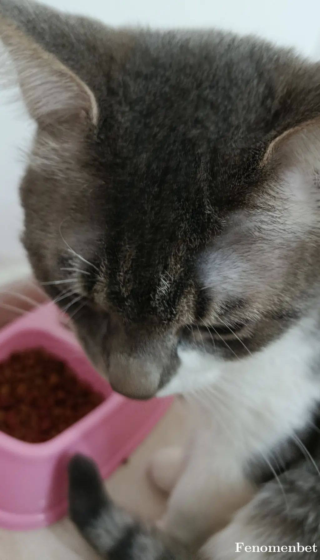 Yagmurasd tarafından paylaşılan fotoğraf