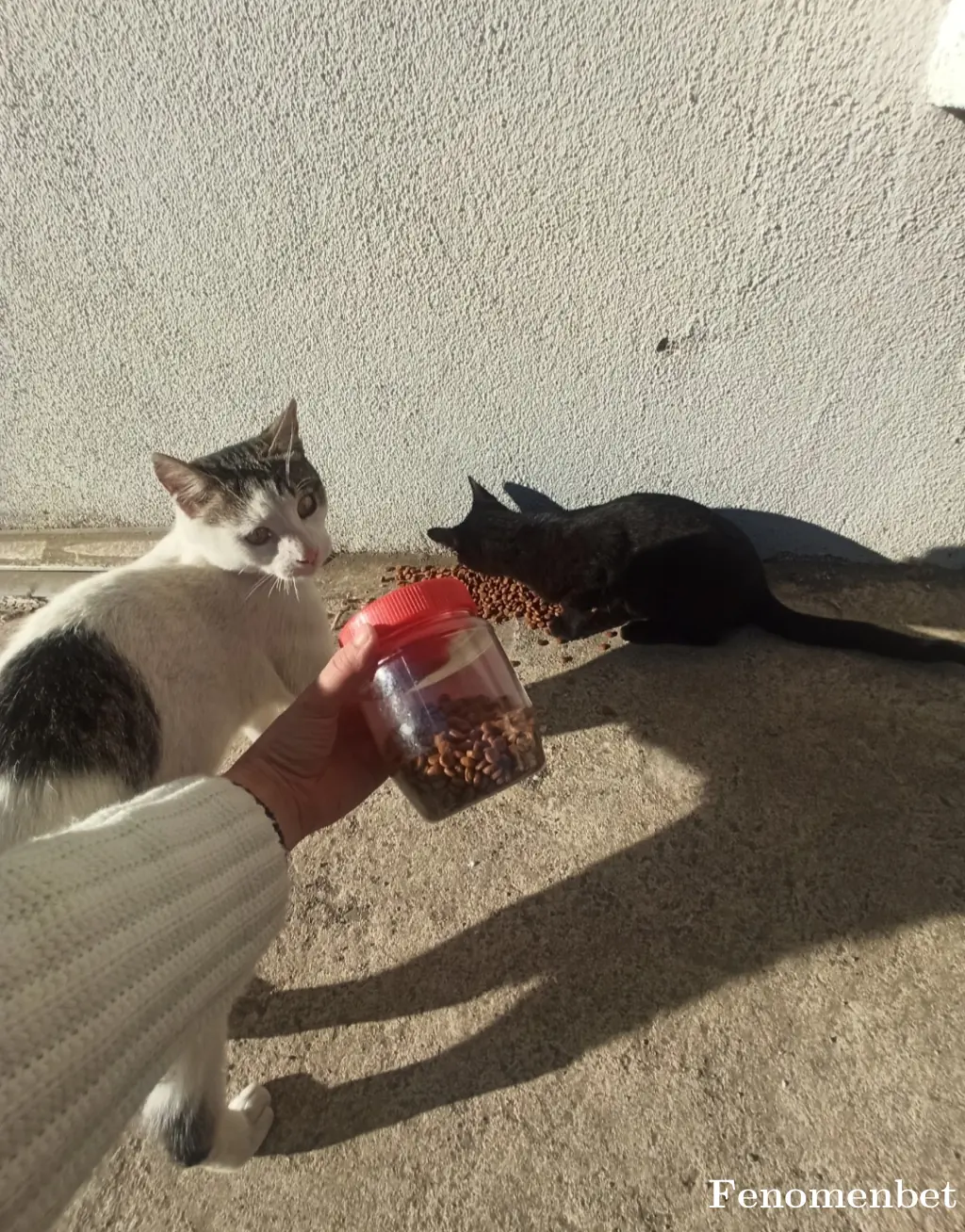 Erdikglzr5 tarafından paylaşılan fotoğraf