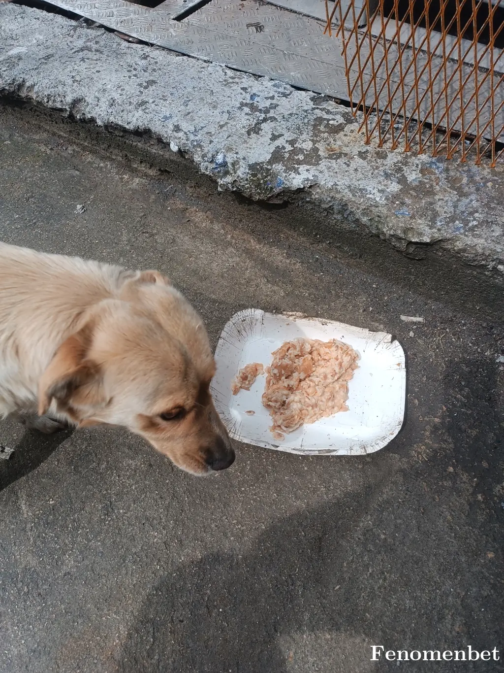 Mustafa1642 tarafından paylaşılan fotoğraf