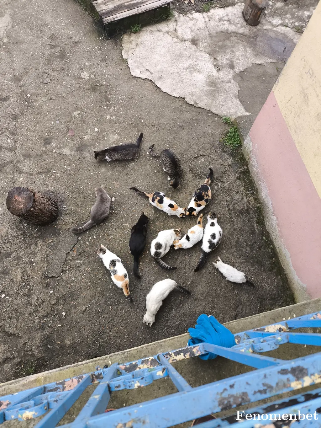 rmzndmrby58 tarafından paylaşılan fotoğraf