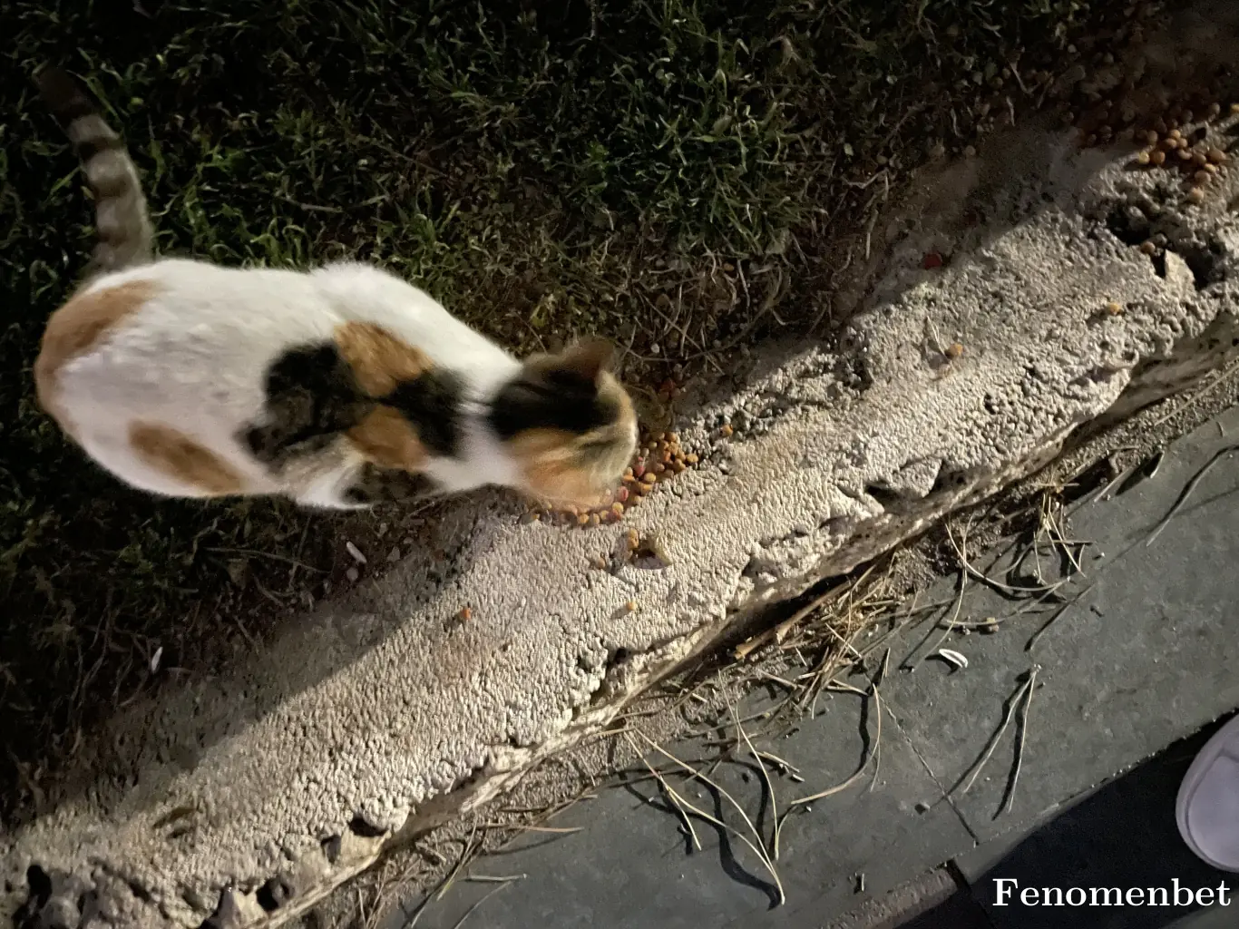 smtagaoglu tarafından paylaşılan fotoğraf