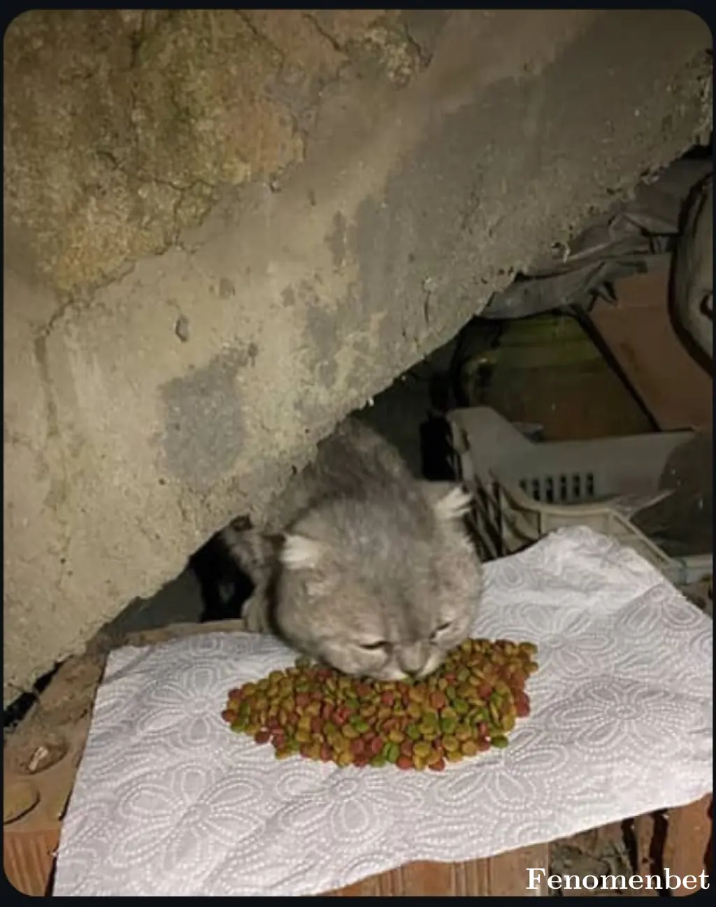 kaoss1905 tarafından paylaşılan fotoğraf