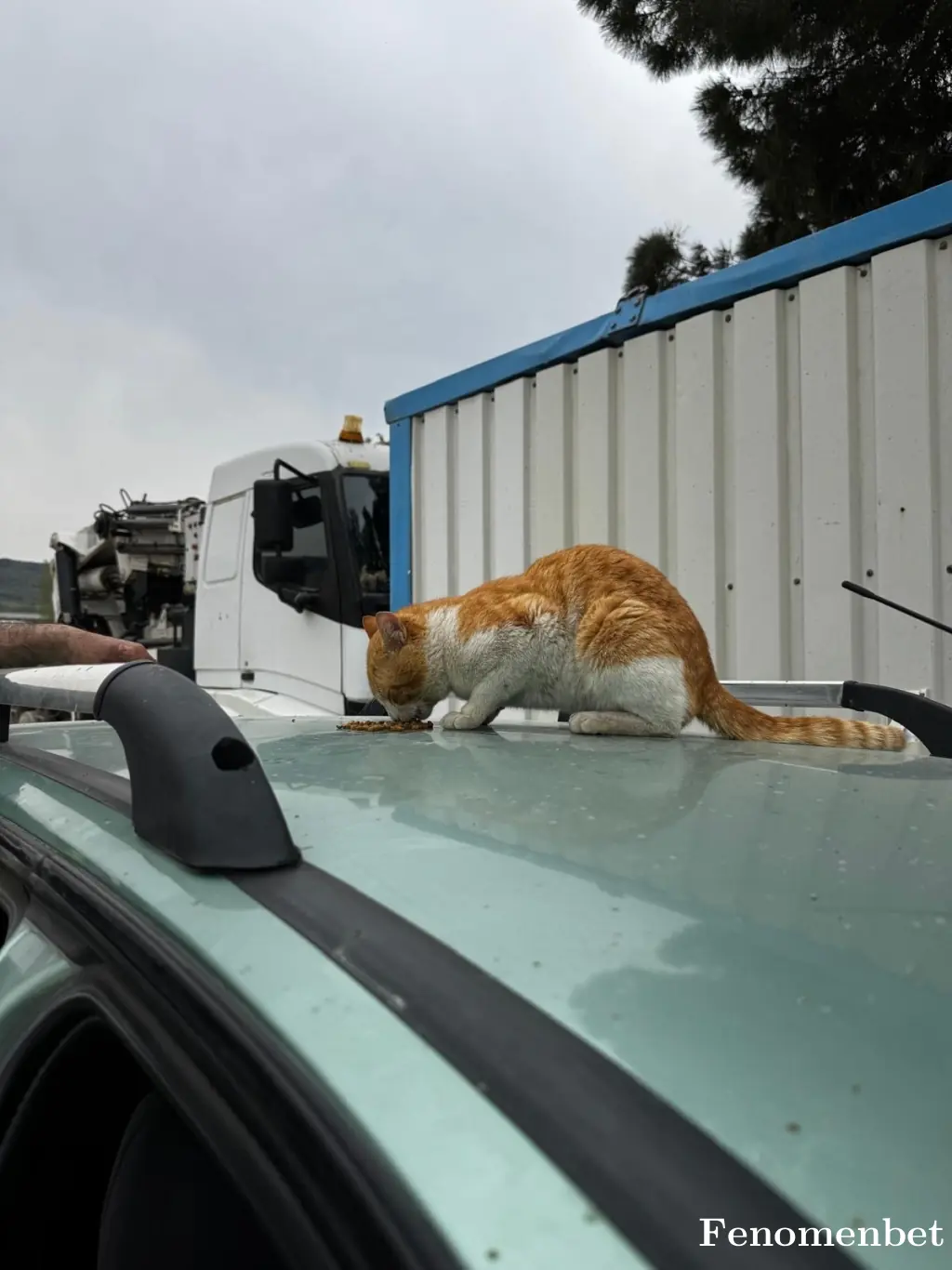 Thefq12 tarafından paylaşılan fotoğraf