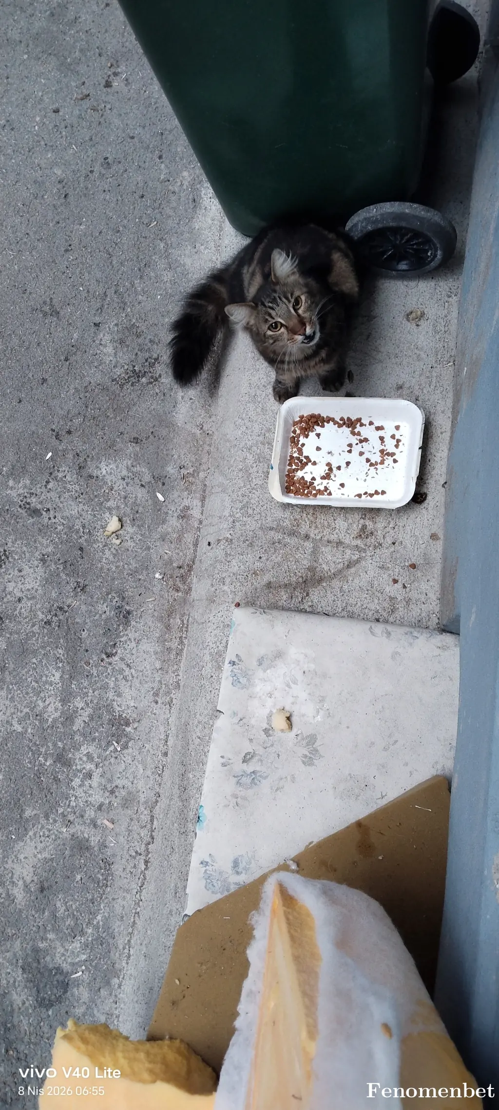 fhmsnl tarafından paylaşılan fotoğraf