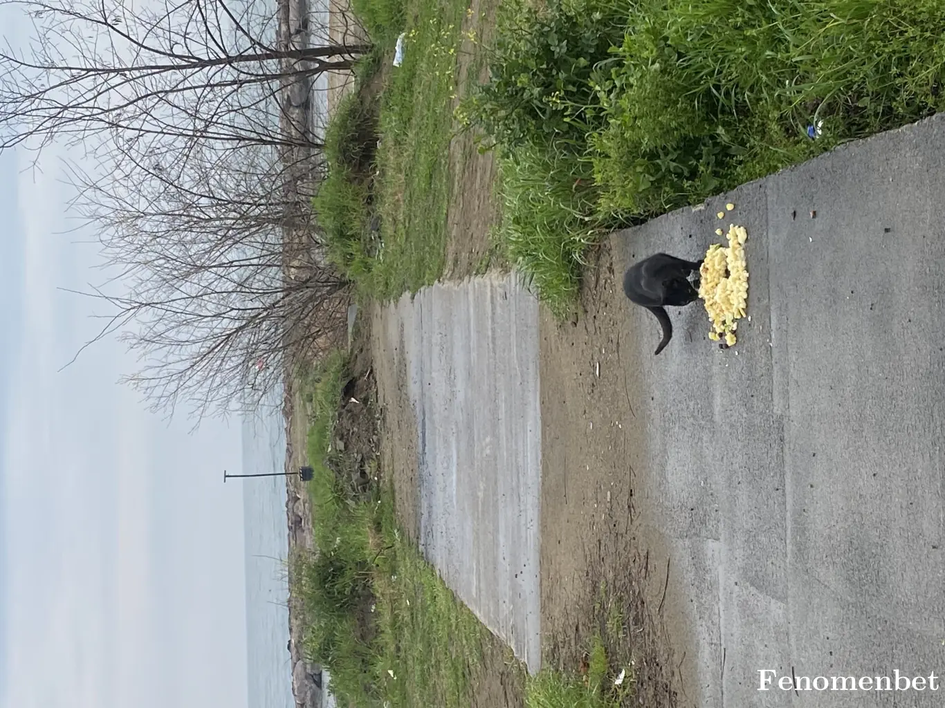 Kartal tarafından paylaşılan fotoğraf