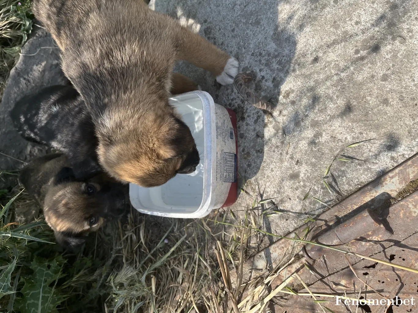 Serhat129 tarafından paylaşılan fotoğraf