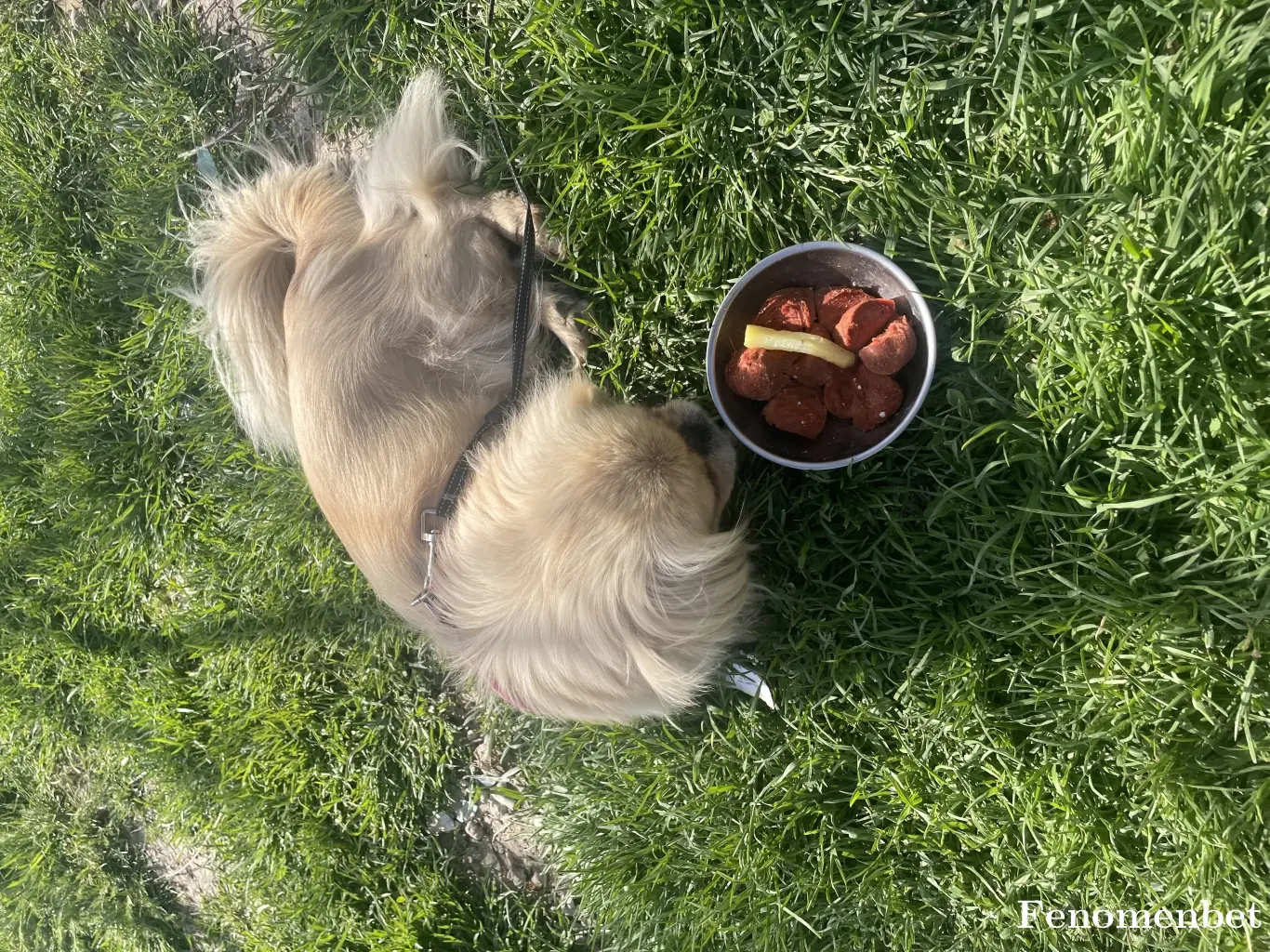 Kumsalim55 tarafından paylaşılan fotoğraf