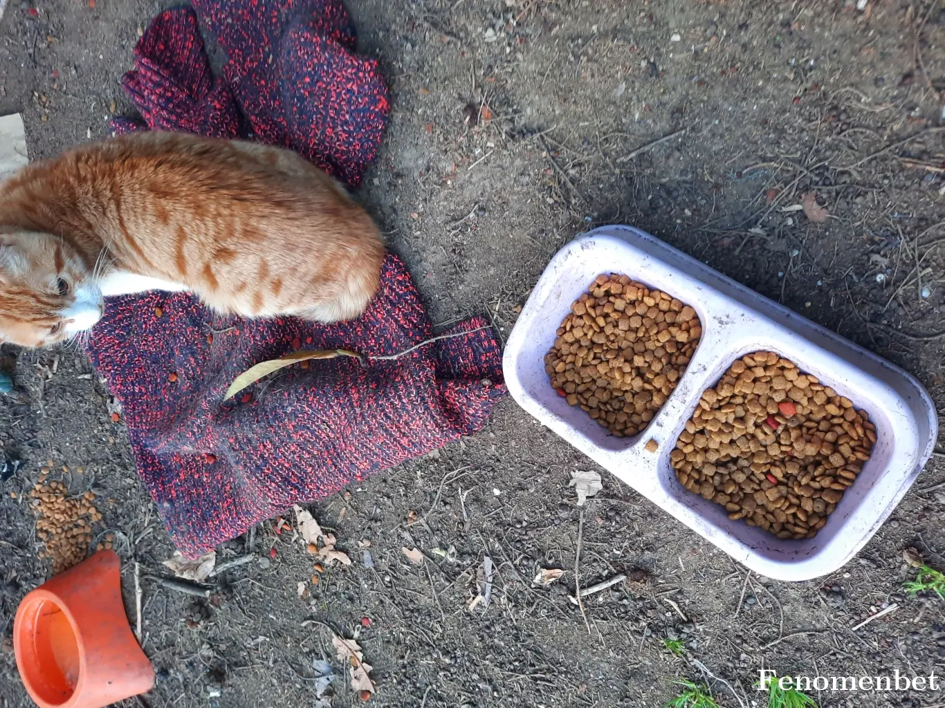 Kehribar7  tarafından paylaşılan fotoğraf