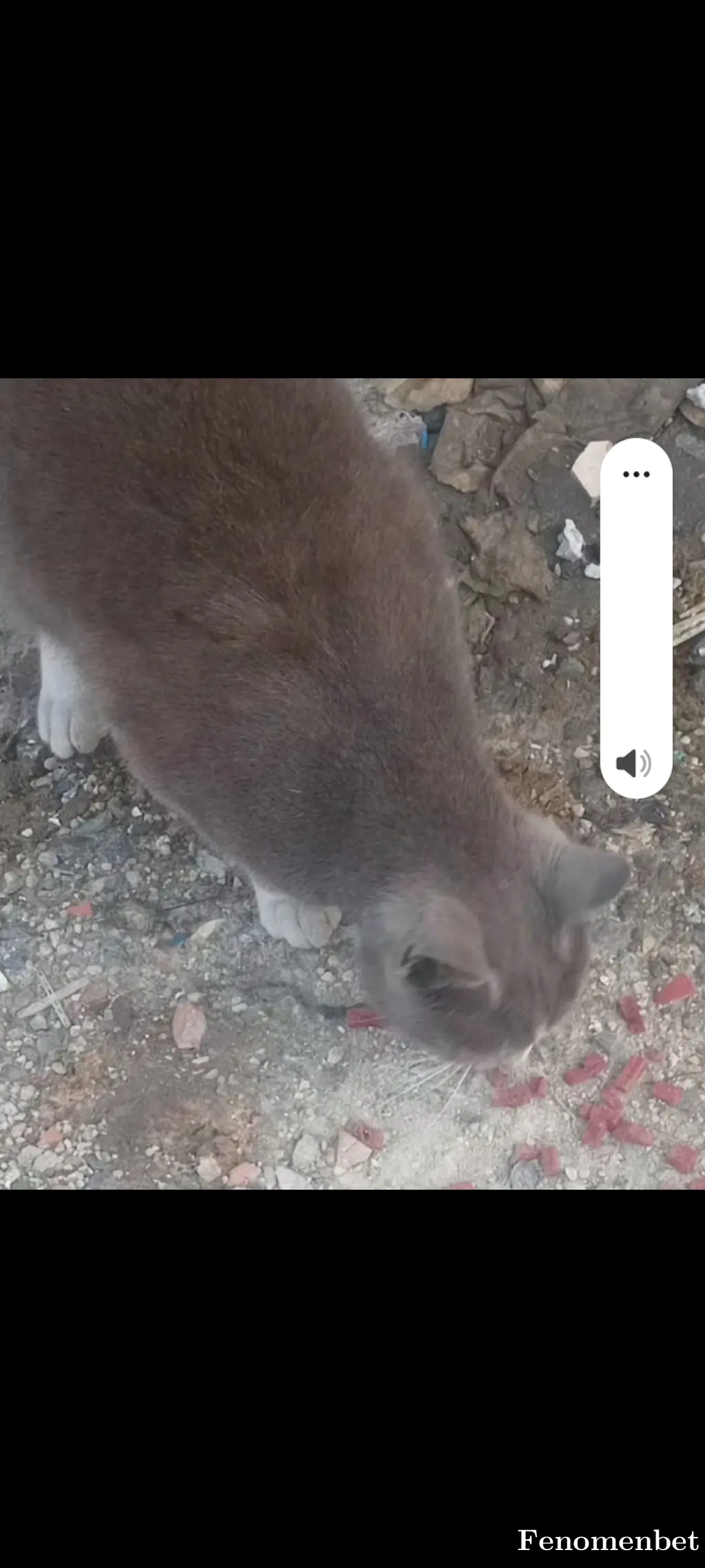 Maho67  tarafından paylaşılan fotoğraf