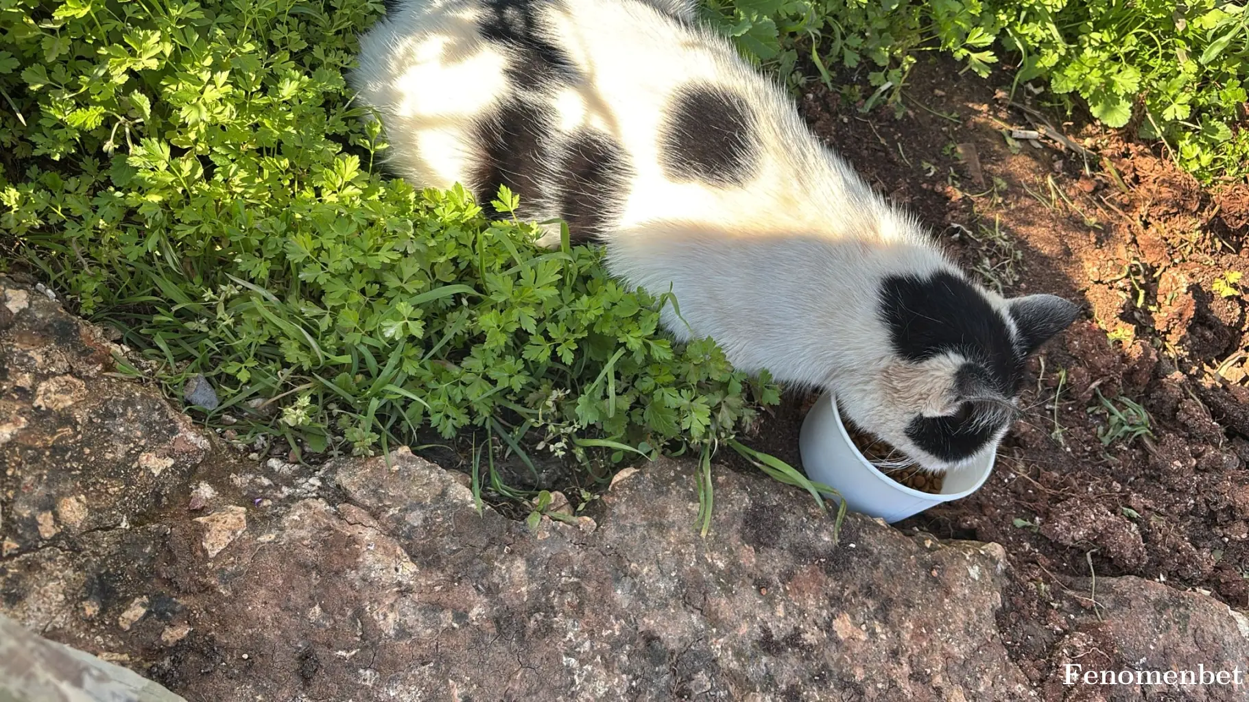 ceremi tarafından paylaşılan fotoğraf