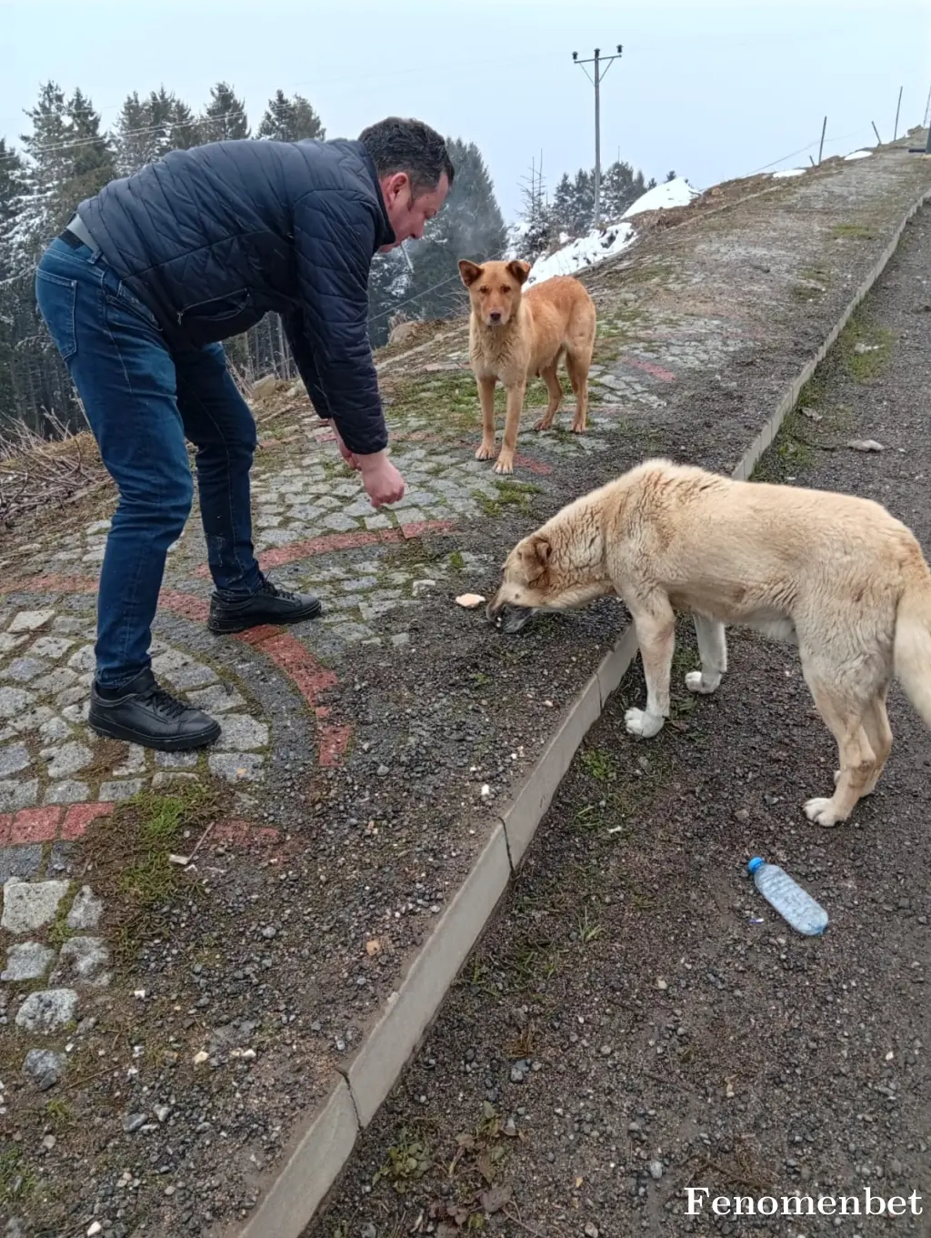 tello28  tarafından paylaşılan fotoğraf