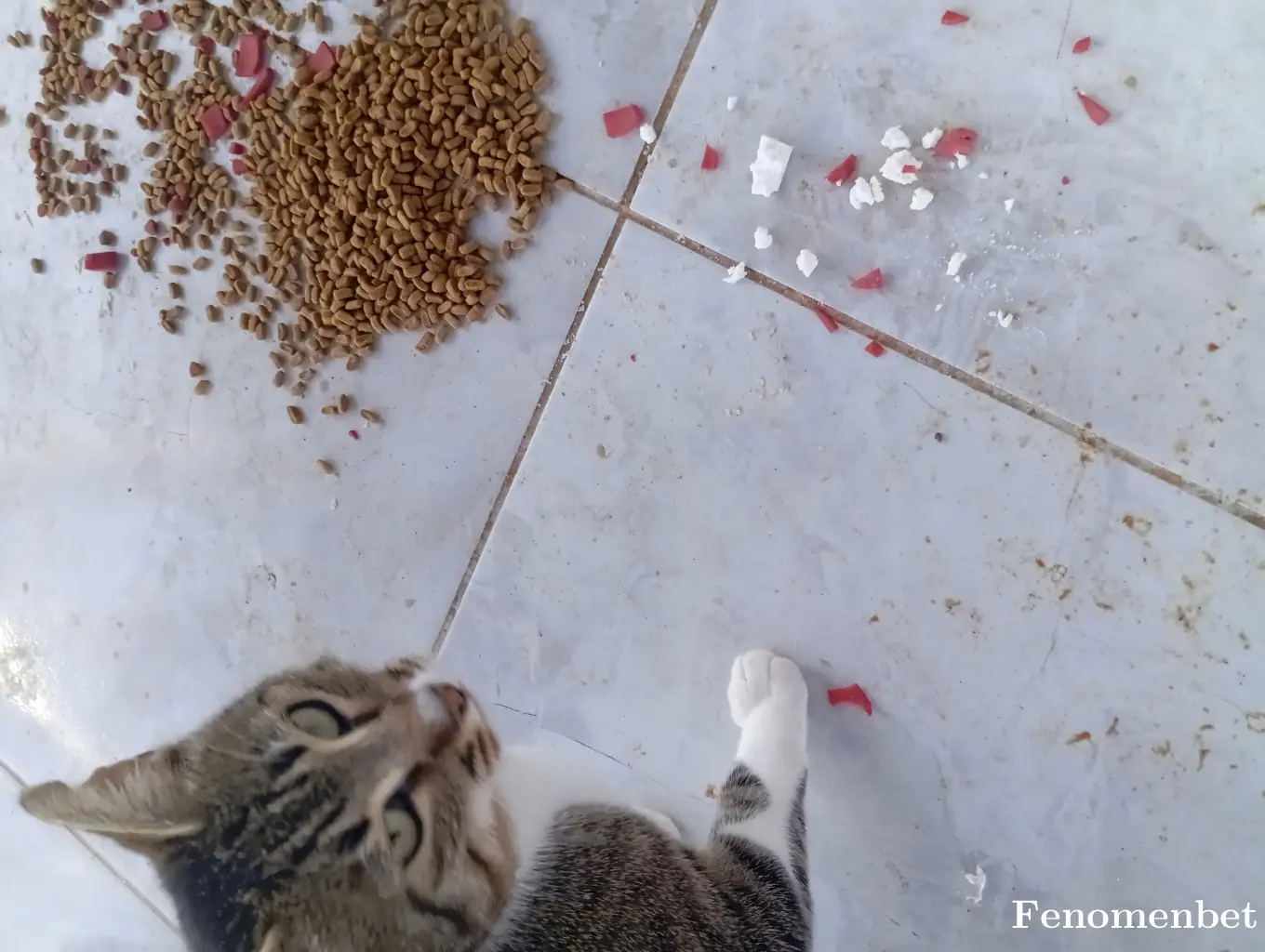 Hascan34  tarafından paylaşılan fotoğraf