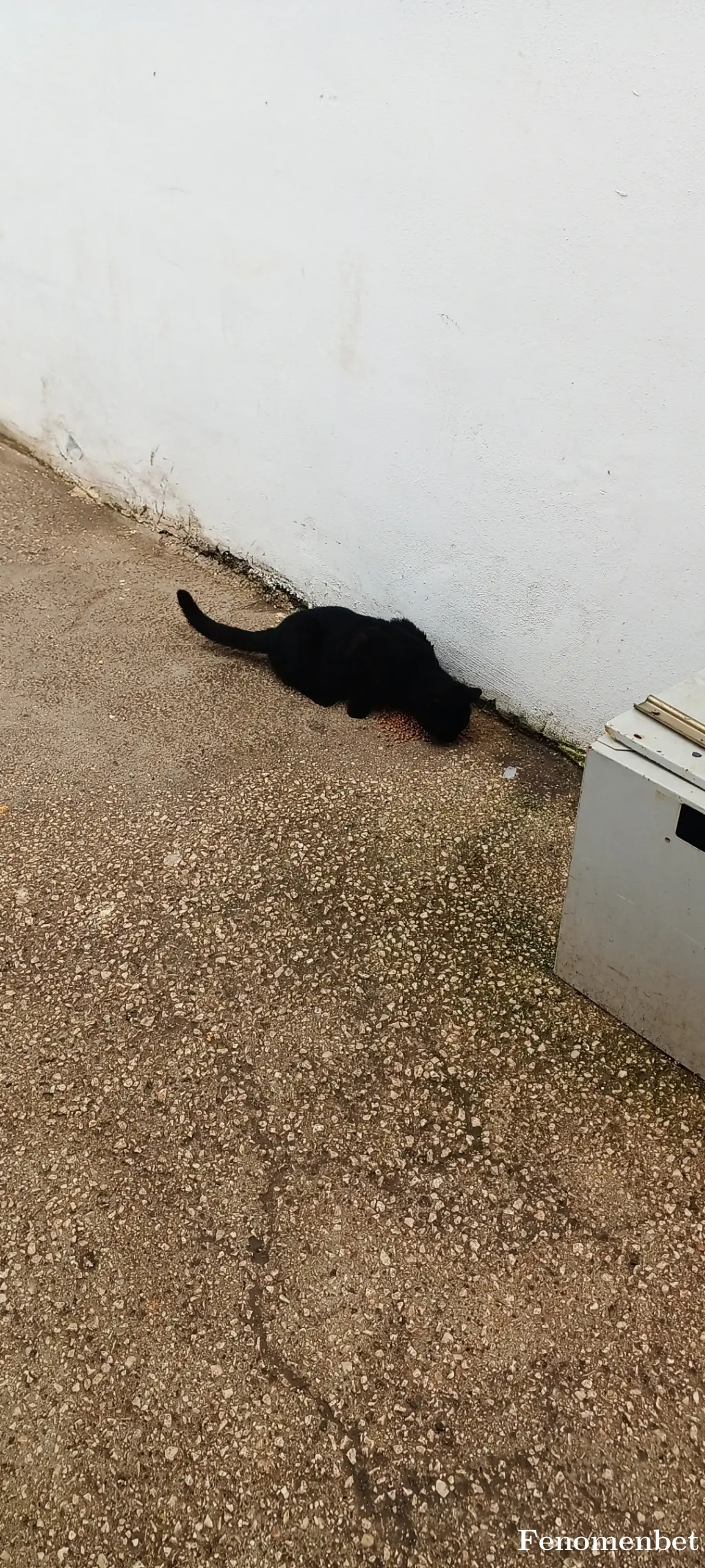 mehmet27 tarafından paylaşılan fotoğraf