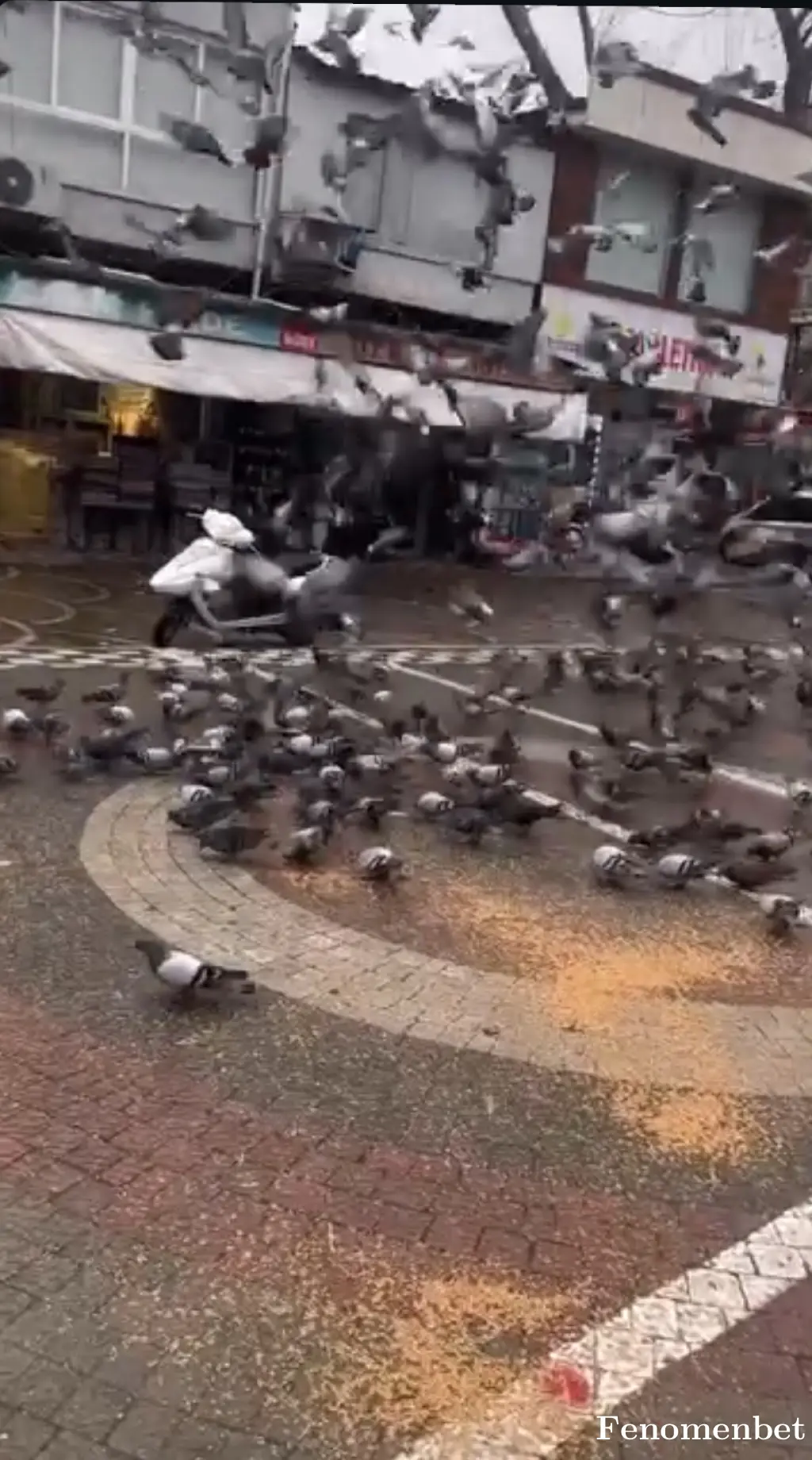 Pompaleyte tarafından paylaşılan fotoğraf