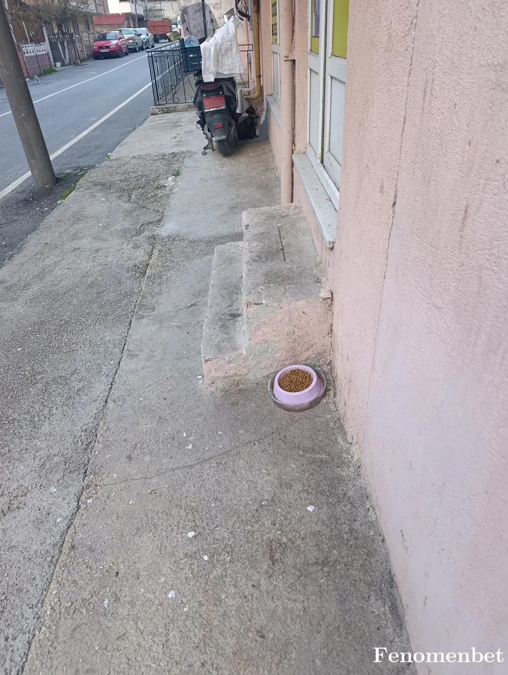 Margi59 tarafından paylaşılan fotoğraf