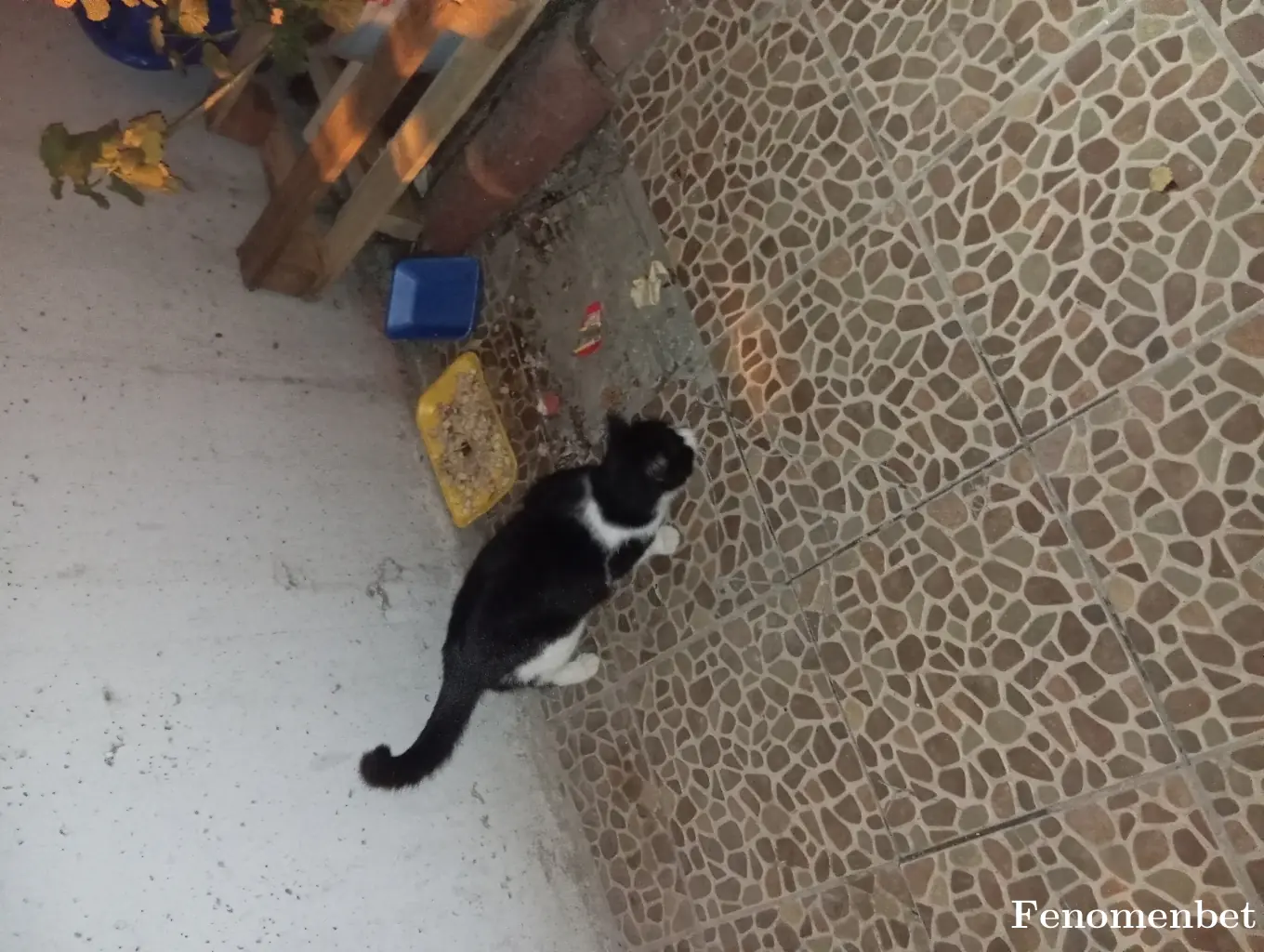 Filizfiti tarafından paylaşılan fotoğraf