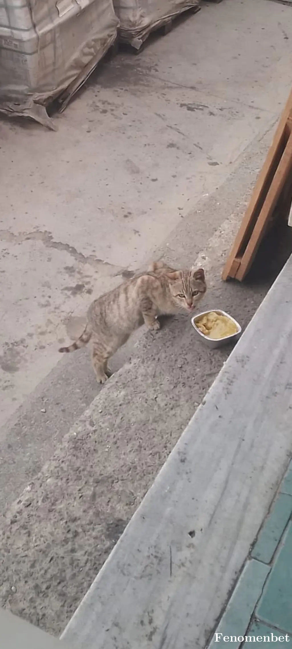 Hsckn tarafından paylaşılan fotoğraf