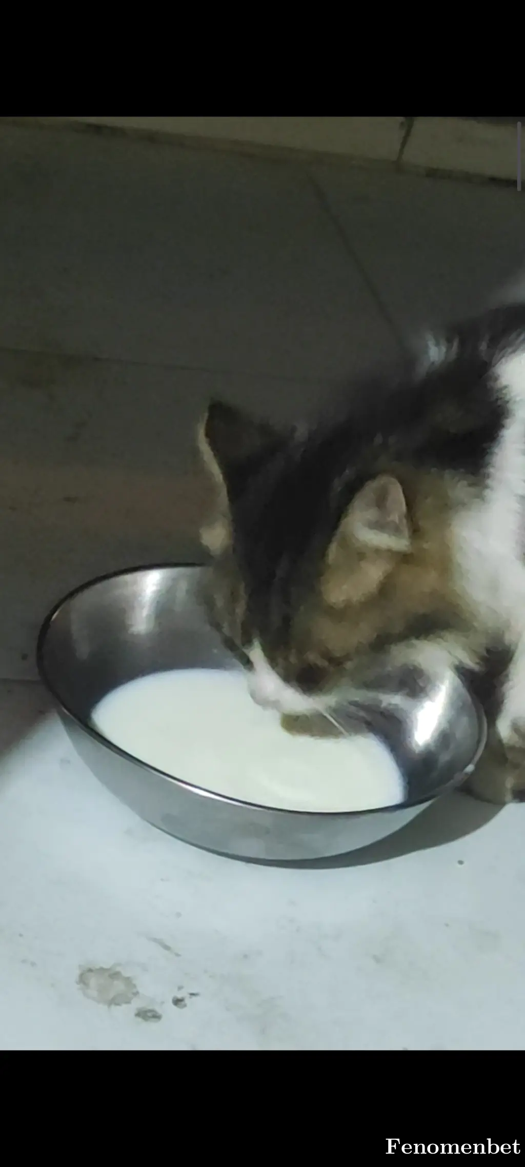 Htchll42 tarafından paylaşılan fotoğraf