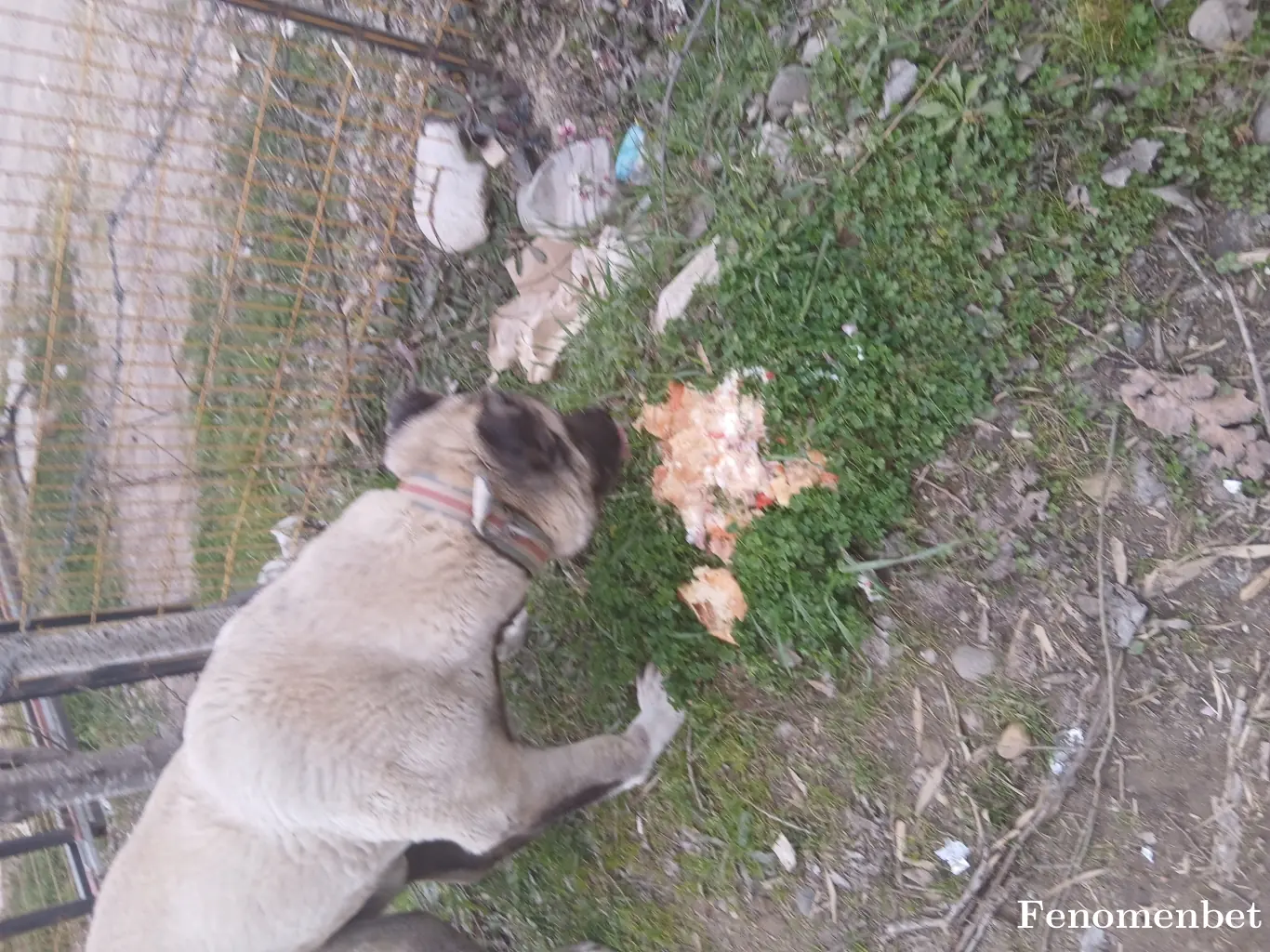 Karada5  tarafından paylaşılan fotoğraf