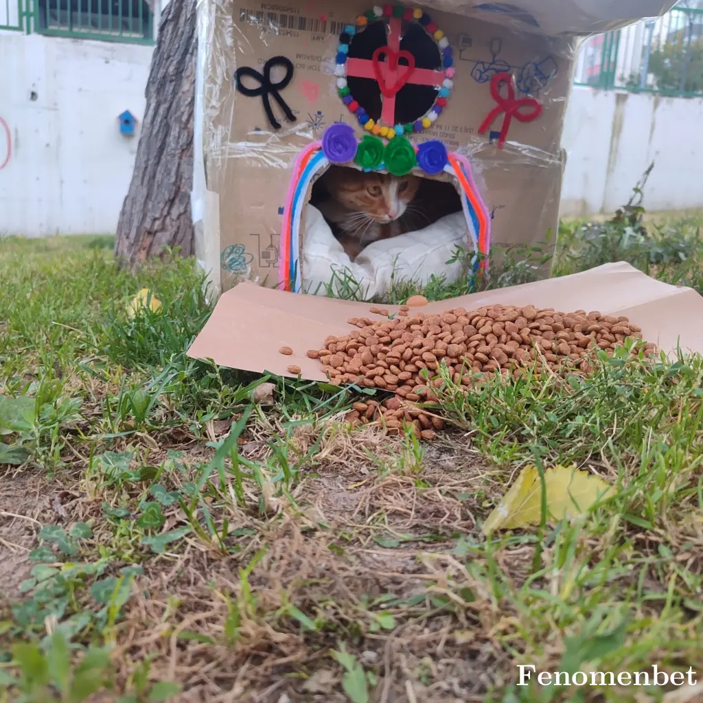 Rappasa tarafından paylaşılan fotoğraf