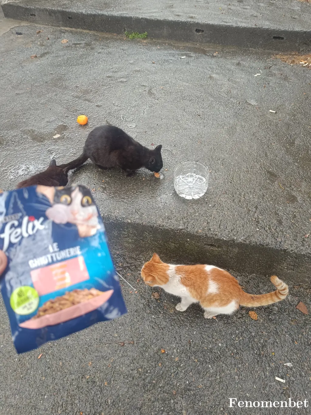 ismetgndgn19 tarafından paylaşılan fotoğraf