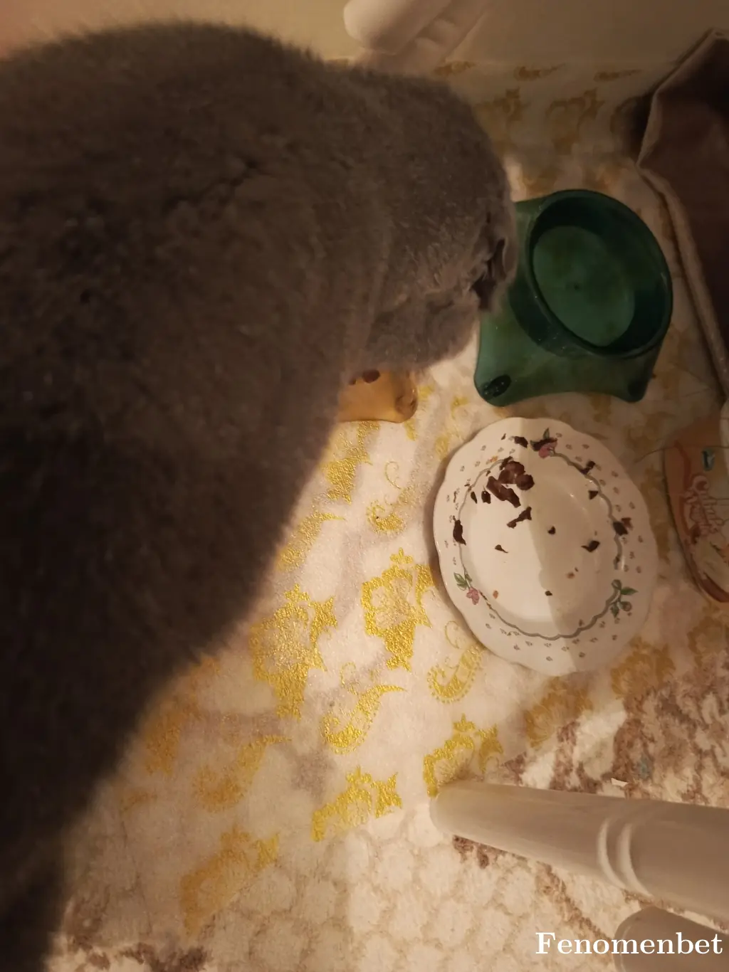 Bedoq tarafından paylaşılan fotoğraf