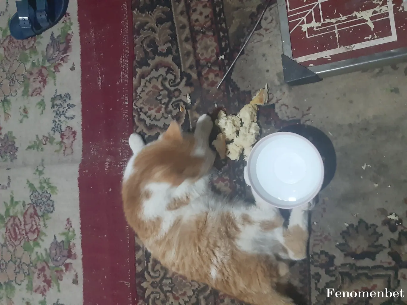 Nacre47 tarafından paylaşılan fotoğraf