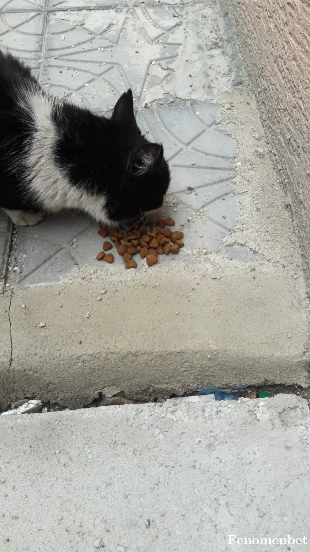 phoenixsuns26 tarafından paylaşılan fotoğraf