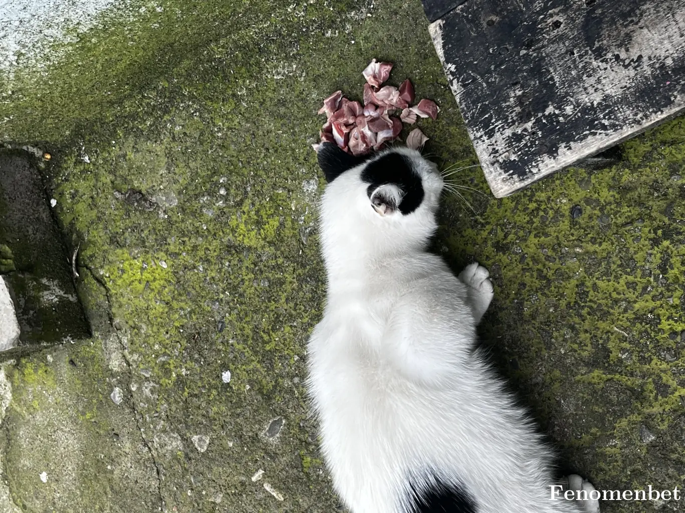 grower3158 tarafından paylaşılan fotoğraf