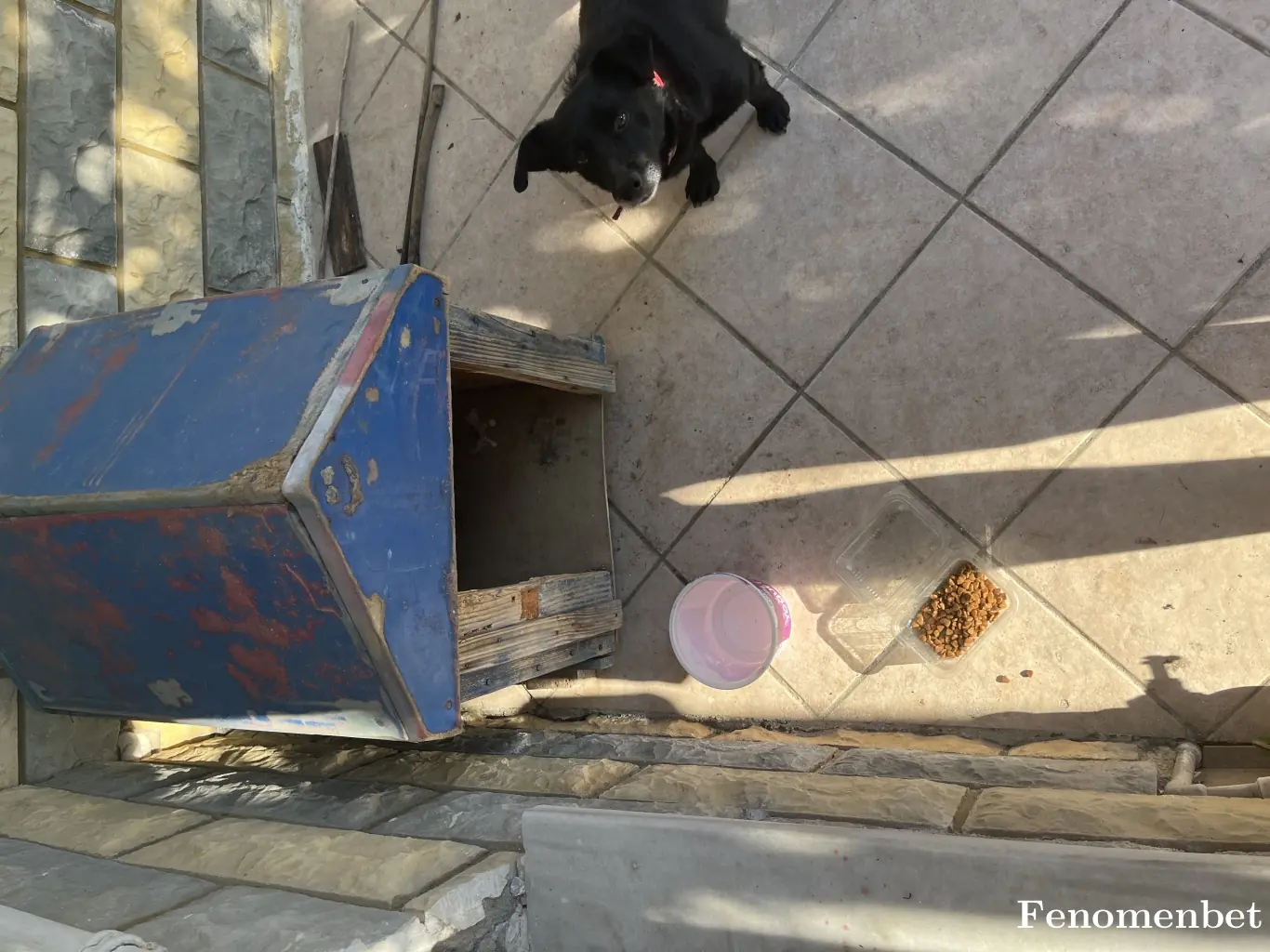 zeuss233 tarafından paylaşılan fotoğraf