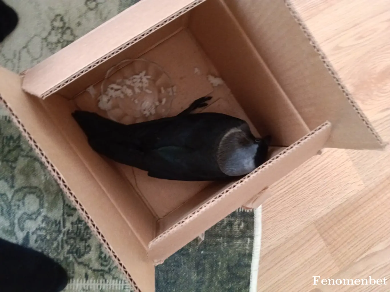 Paloma34 tarafından paylaşılan fotoğraf