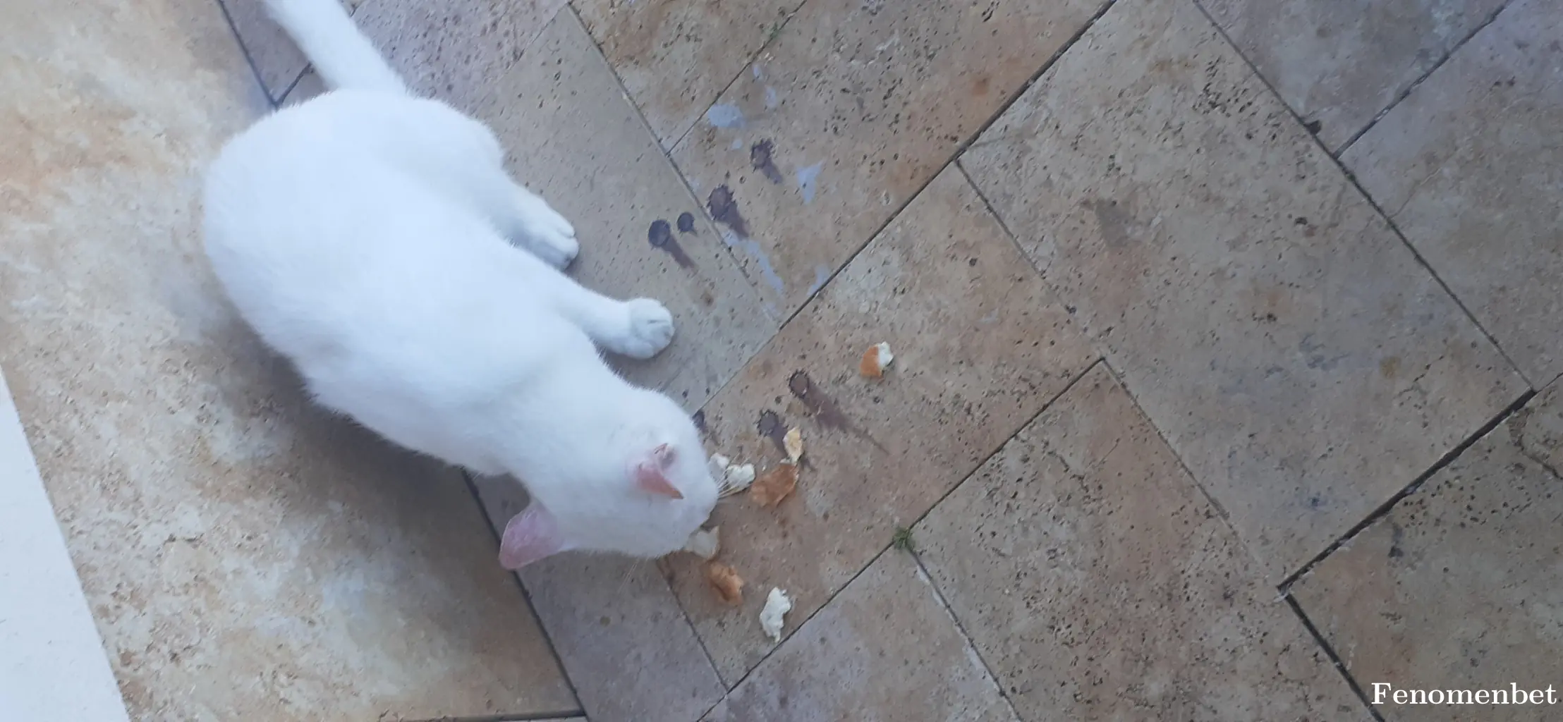 kinabruk tarafından paylaşılan fotoğraf