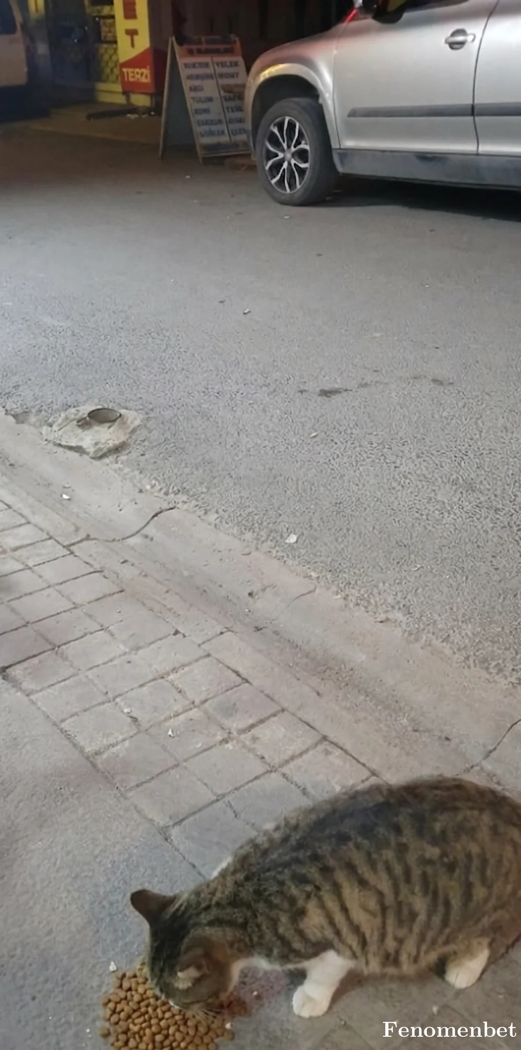 Yavuz158 tarafından paylaşılan fotoğraf