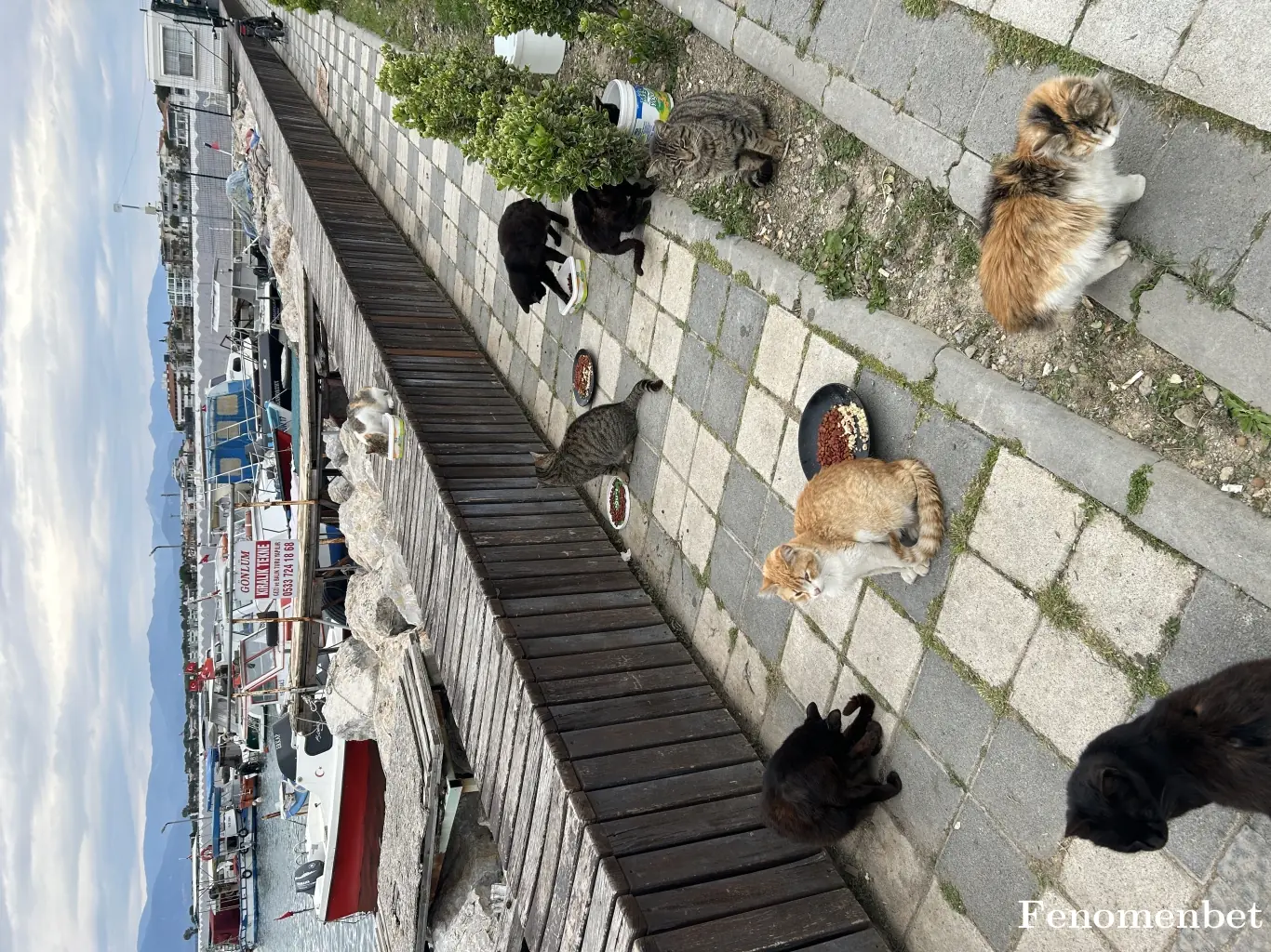 erturk82 tarafından paylaşılan fotoğraf