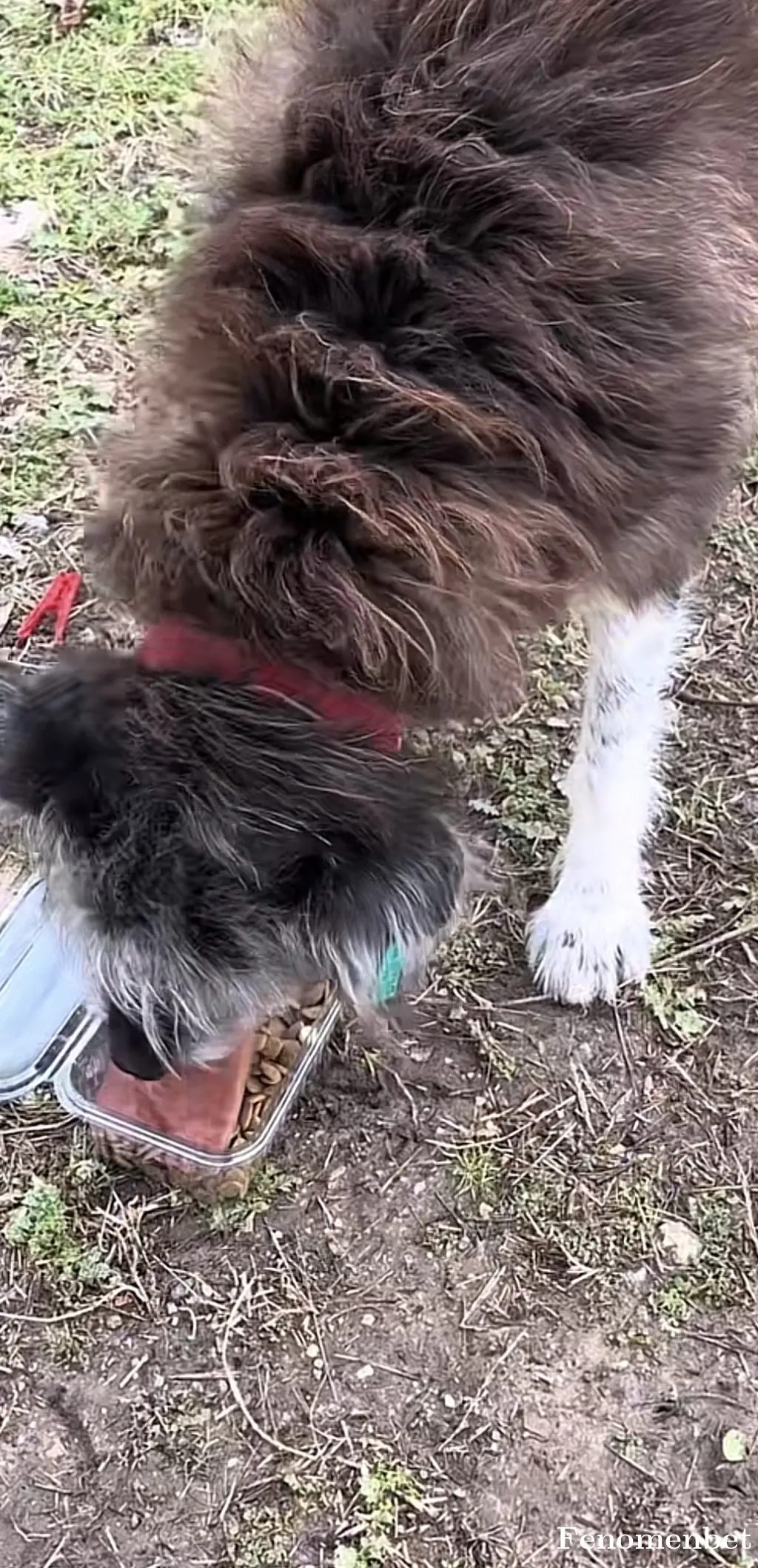 Ugurcn60 tarafından paylaşılan fotoğraf