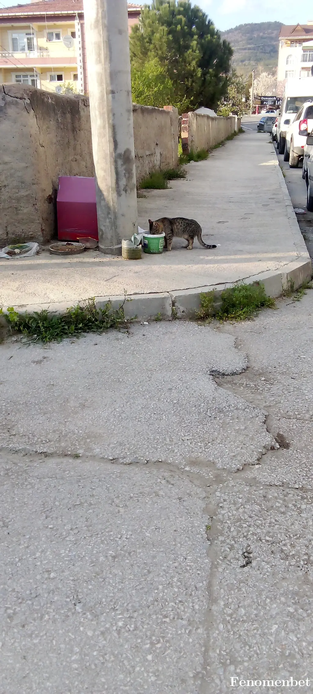 Bayramtemur1  tarafından paylaşılan fotoğraf