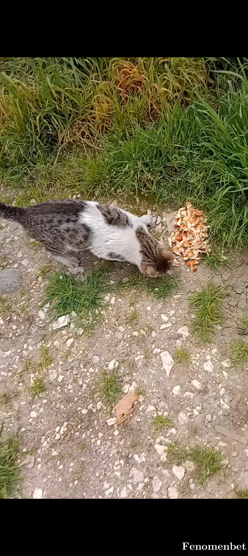 Osmeyn811 tarafından paylaşılan fotoğraf