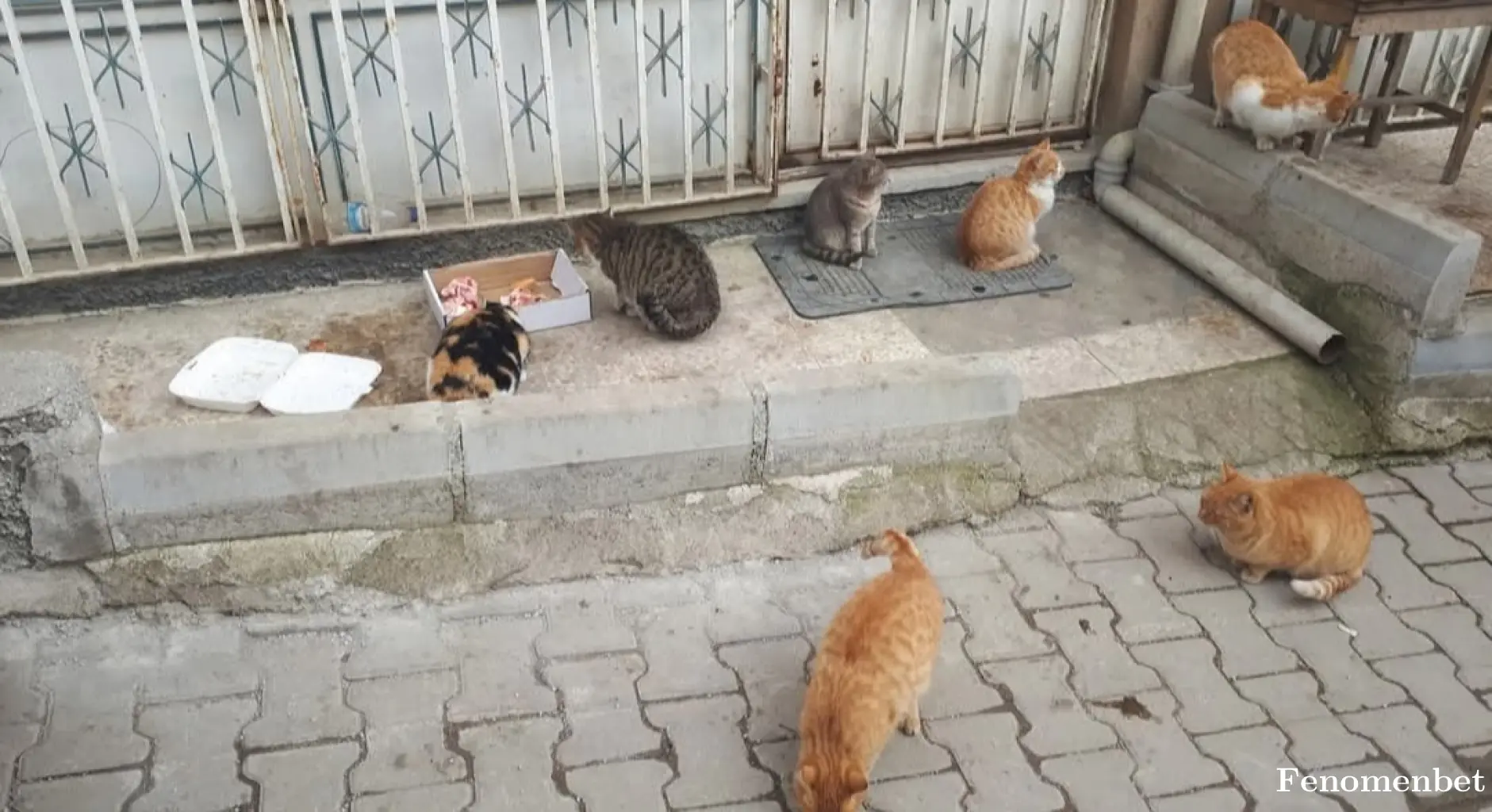 Hakan319 tarafından paylaşılan fotoğraf