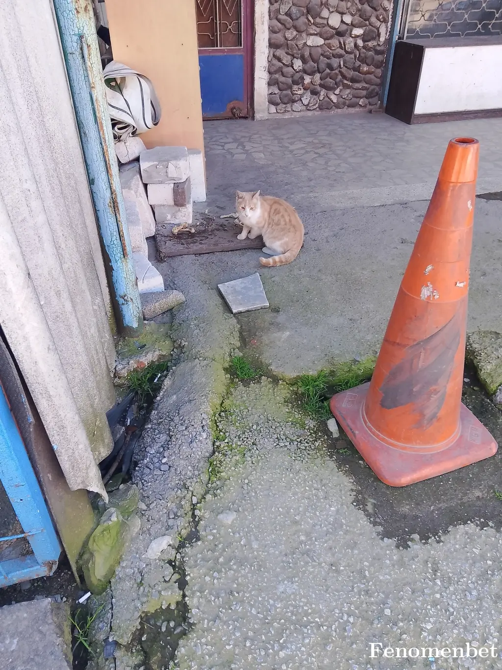 Kemal5454 tarafından paylaşılan fotoğraf