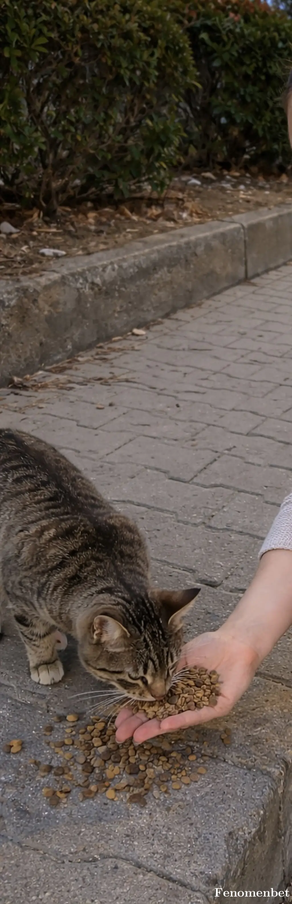 Simge3434 tarafından paylaşılan fotoğraf