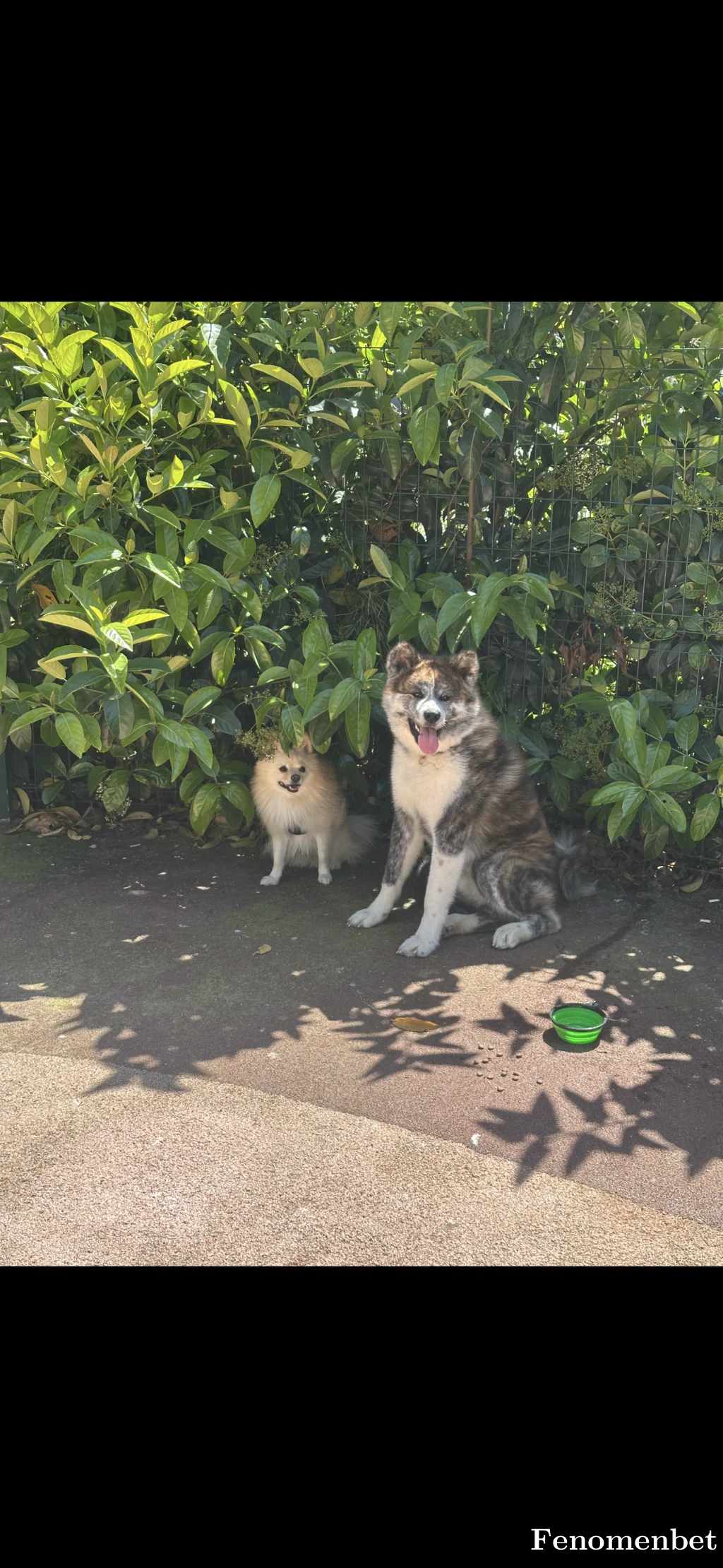 Baran212021 tarafından paylaşılan fotoğraf