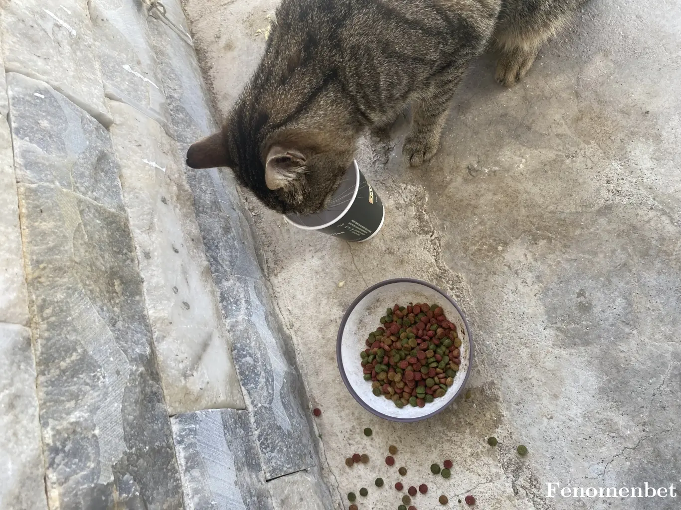 kikosharp99 tarafından paylaşılan fotoğraf