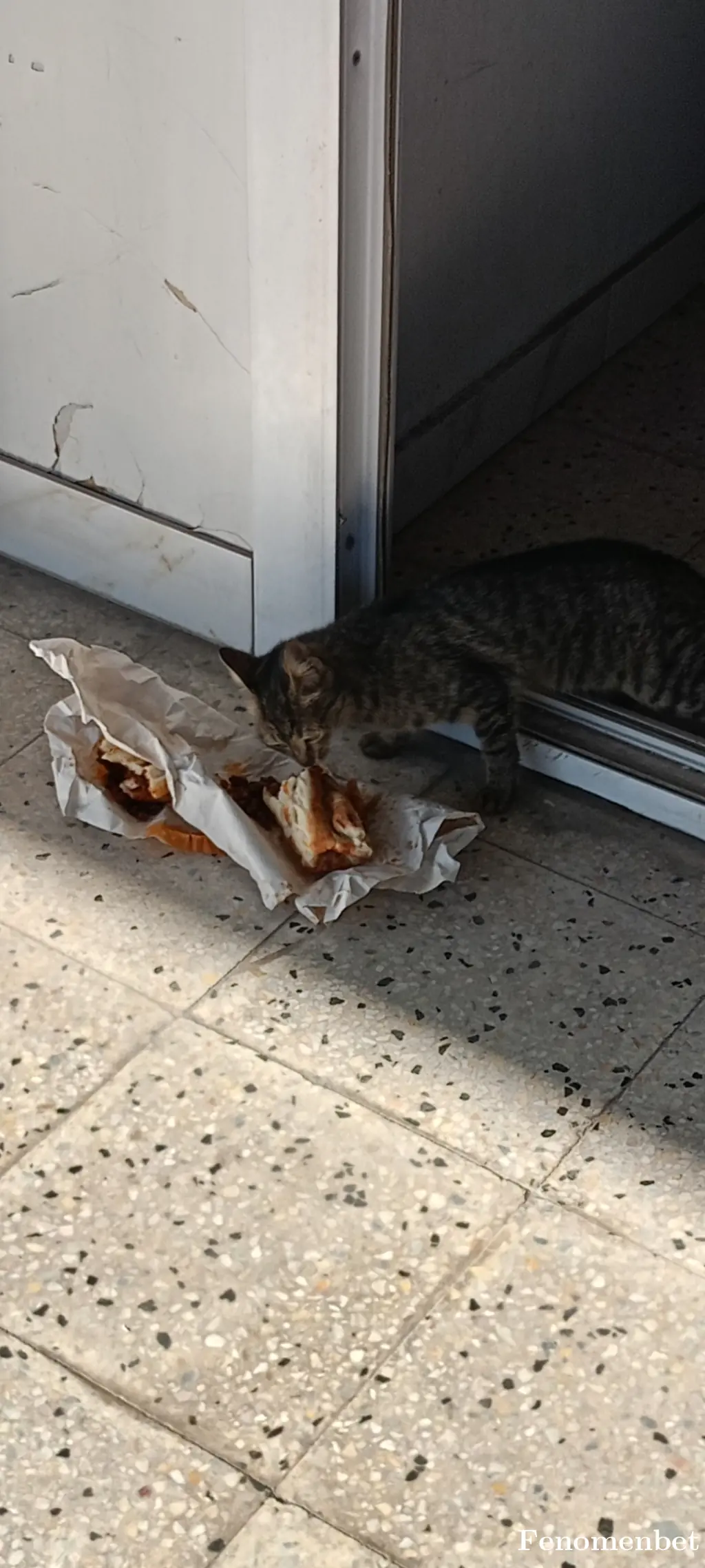 Ersan2726 tarafından paylaşılan fotoğraf